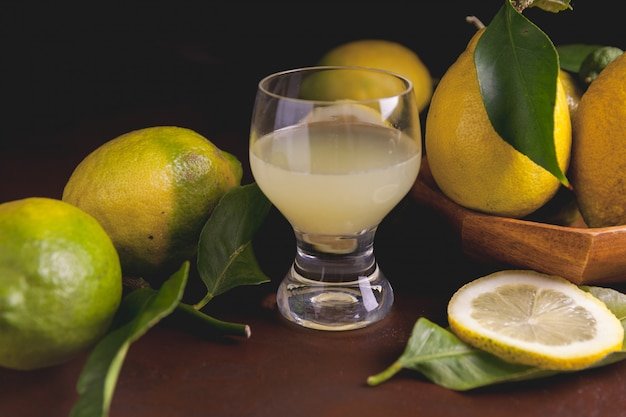 Fresh Lemon | ફ્રેશ લેમન (300 ML)