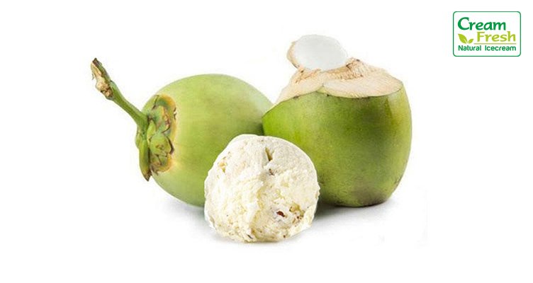 Tendor Coconut | ટેન્ડર કોકોનેટ