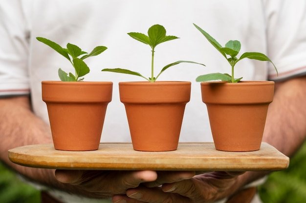 Mini Terracotta Pots