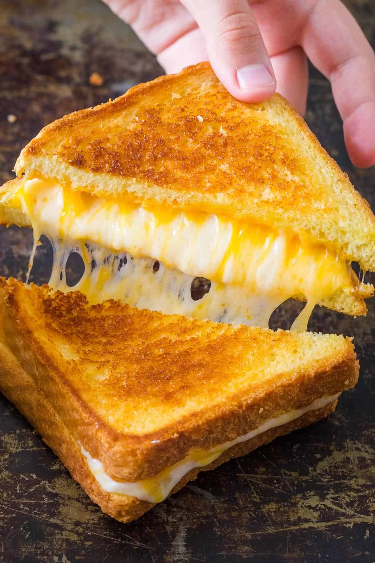 Cheese Sandwich