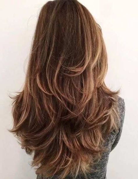 Ladies Hair Cut Advance